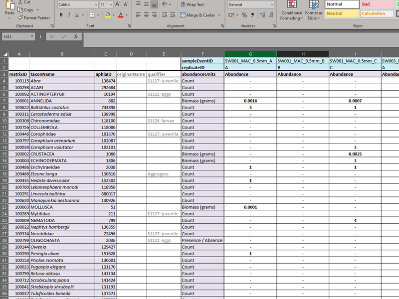 Screenshot of exported taxa records in matrix form