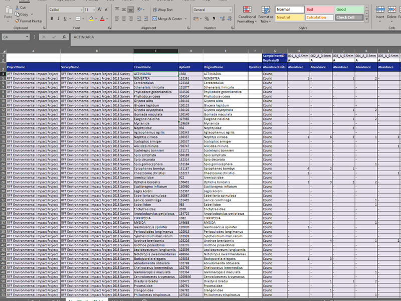 Screenshot of a completed Taxa Import file